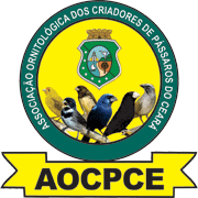 AOCPCE